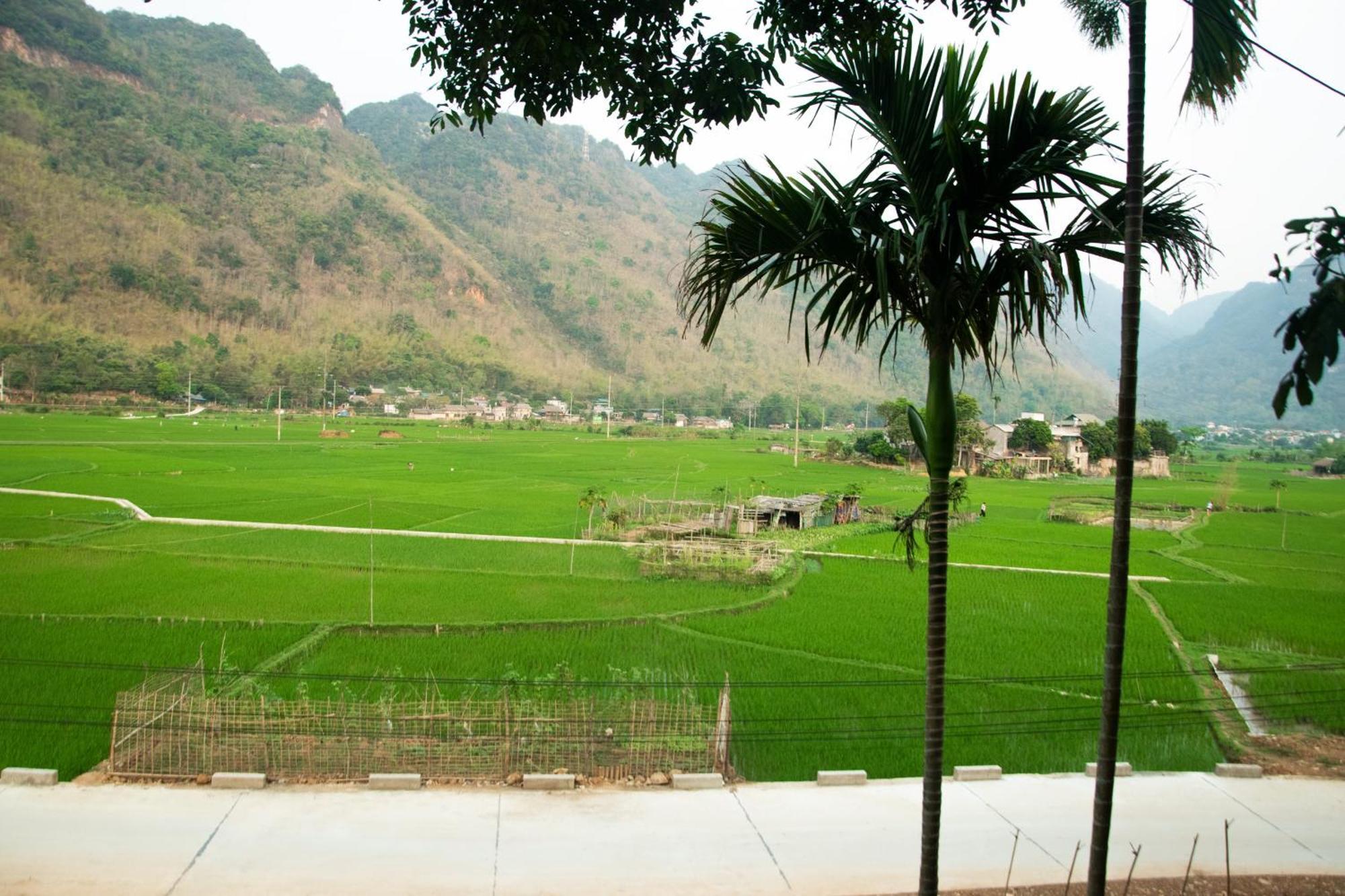 Mai Chau La Vida Homestay Dış mekan fotoğraf